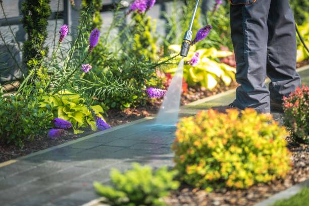 Best Restaurant Pressure Washing  in Marianne, PA